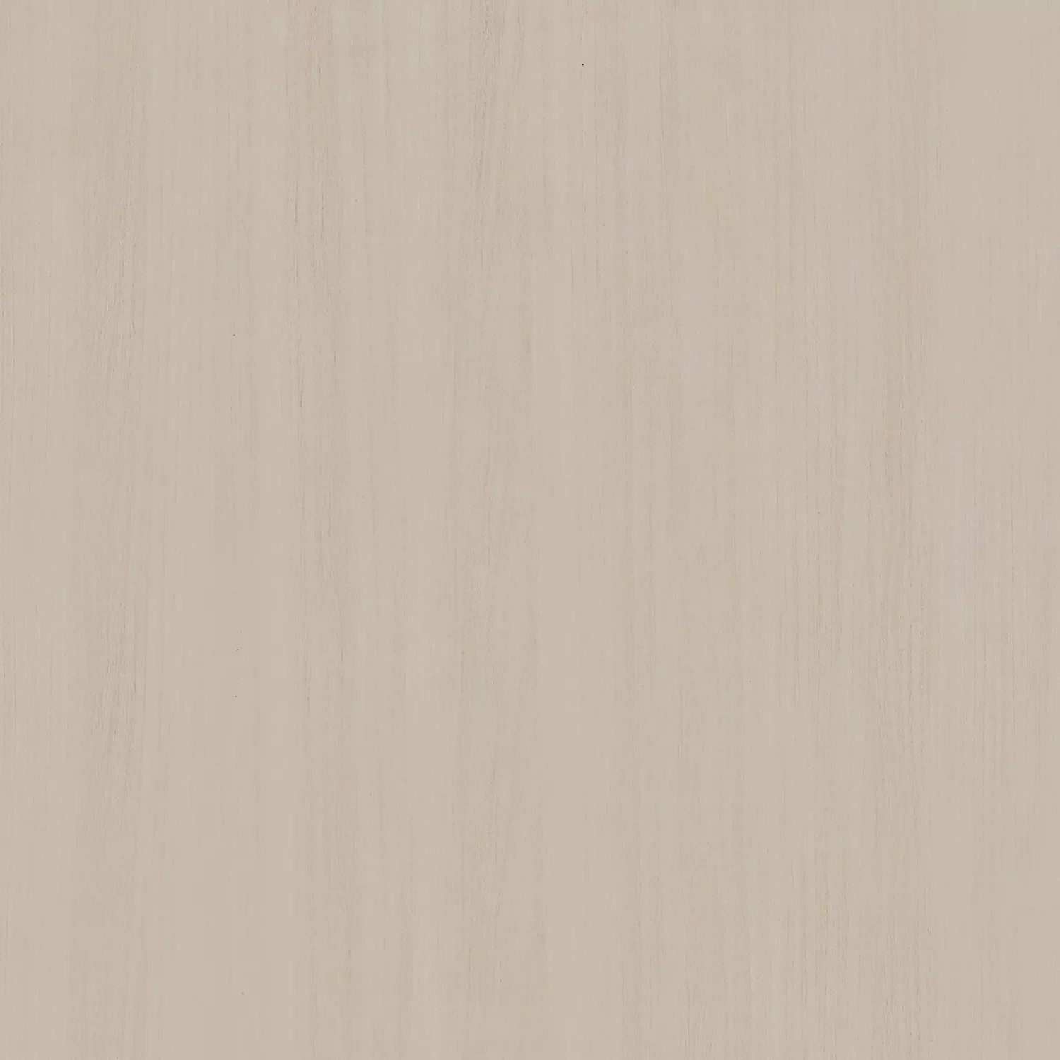 G828细雨白橡.jpg